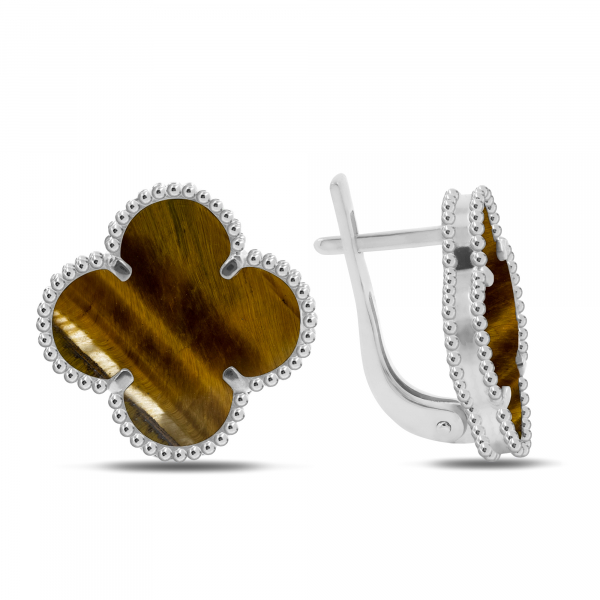 Silver Earrings With Tiger Eye